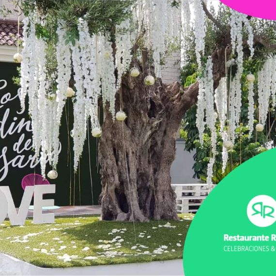 Diseño de página web de Restaurante Rosarito por la agencia de marketing digital MULLBRAND en Murcia