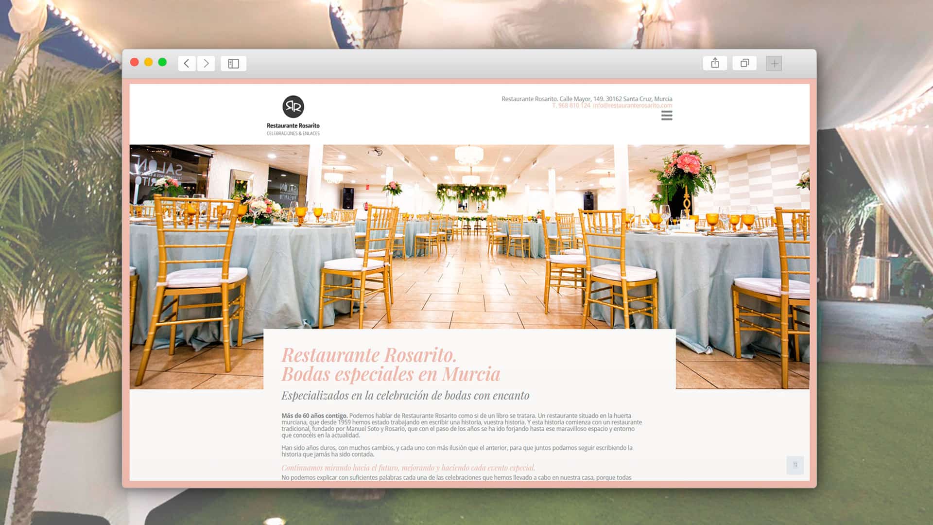 Web en WordPress optimizada para SEO.